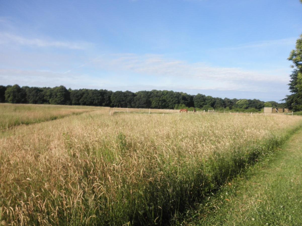 Clumber Lane End Farm Bed and Breakfast Worksop Exteriör bild
